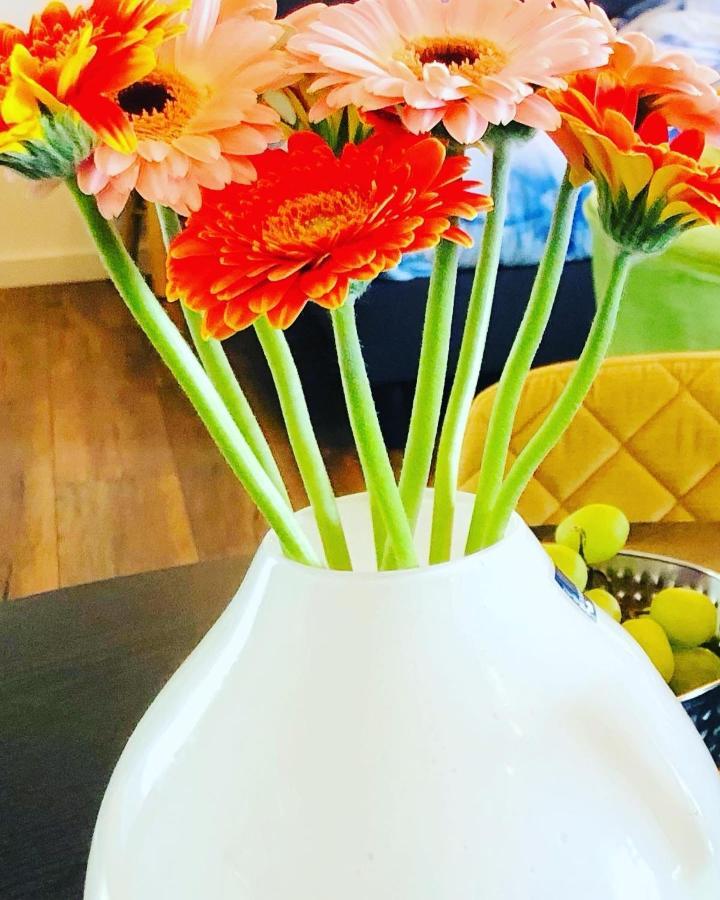 לינה וארוחת בוקר B &B Yuupke Maasbree Noord-Limburg Venlo Roermond מראה חיצוני תמונה