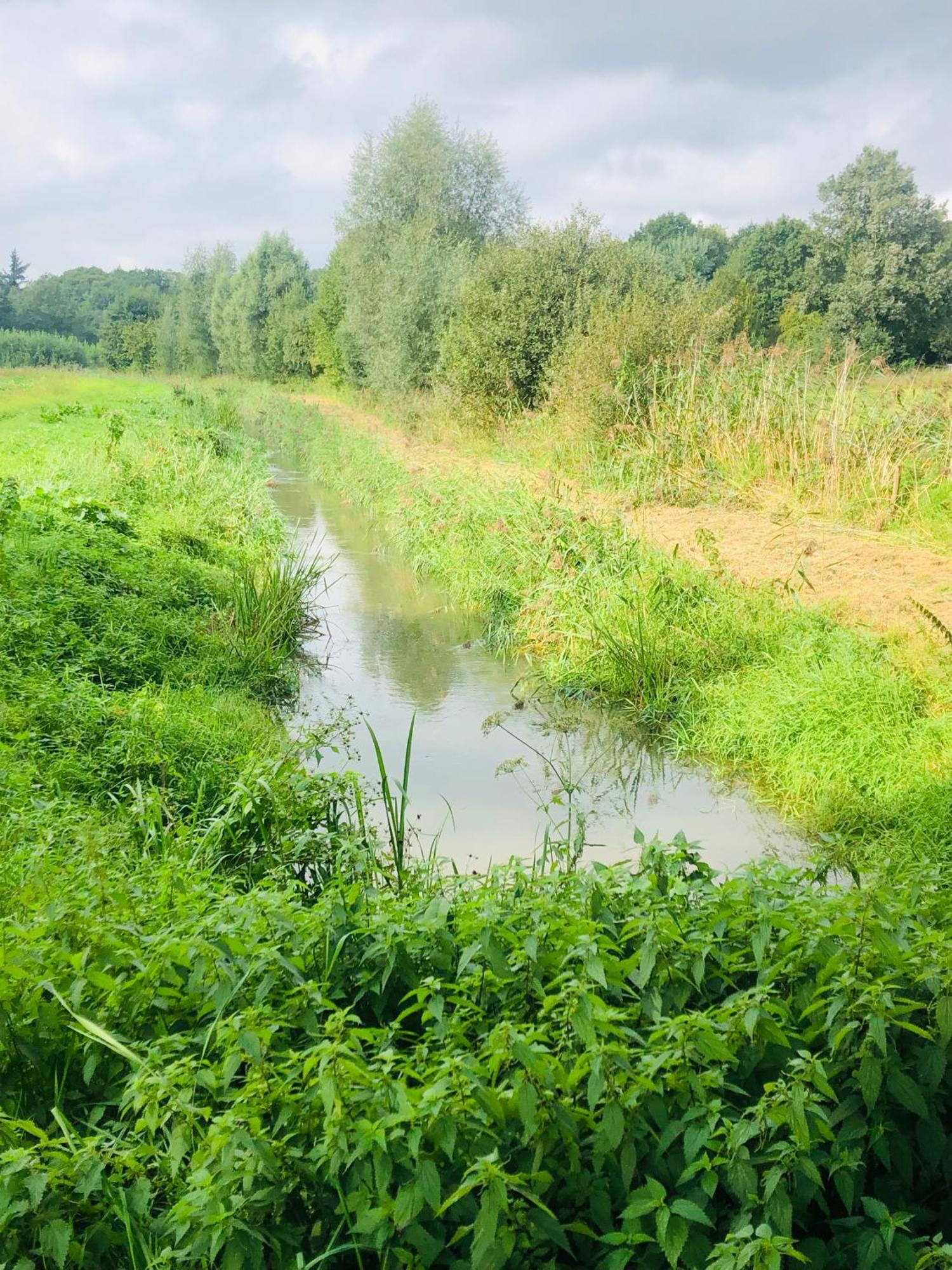 לינה וארוחת בוקר B &B Yuupke Maasbree Noord-Limburg Venlo Roermond מראה חיצוני תמונה