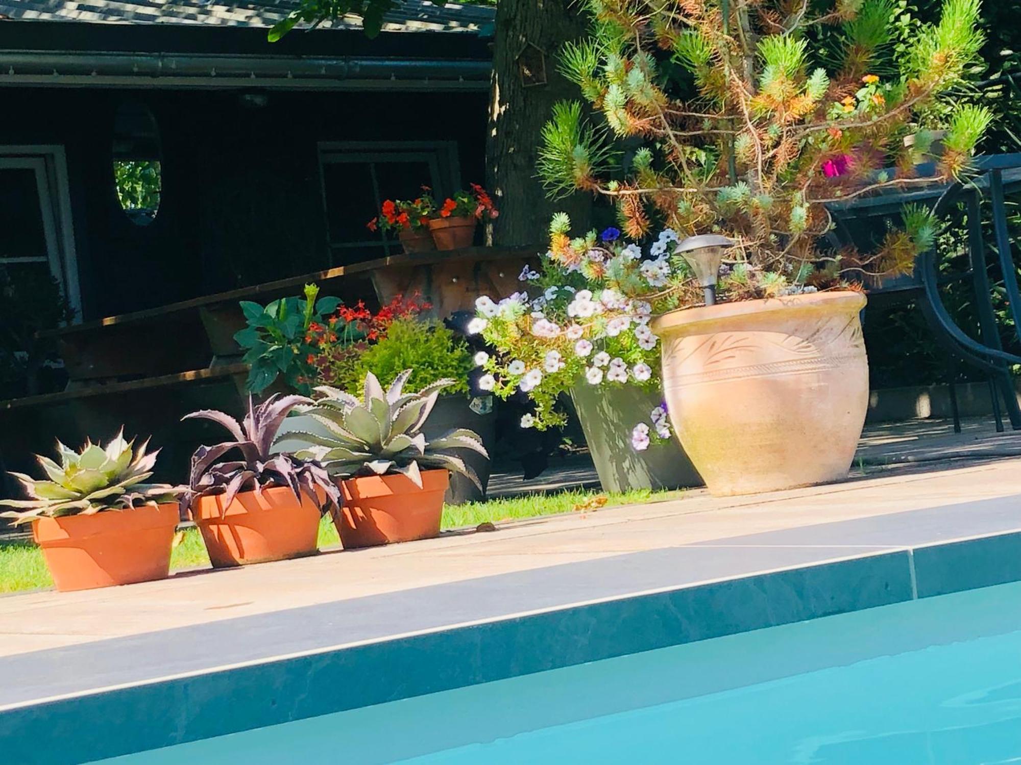 לינה וארוחת בוקר B &B Yuupke Maasbree Noord-Limburg Venlo Roermond מראה חיצוני תמונה