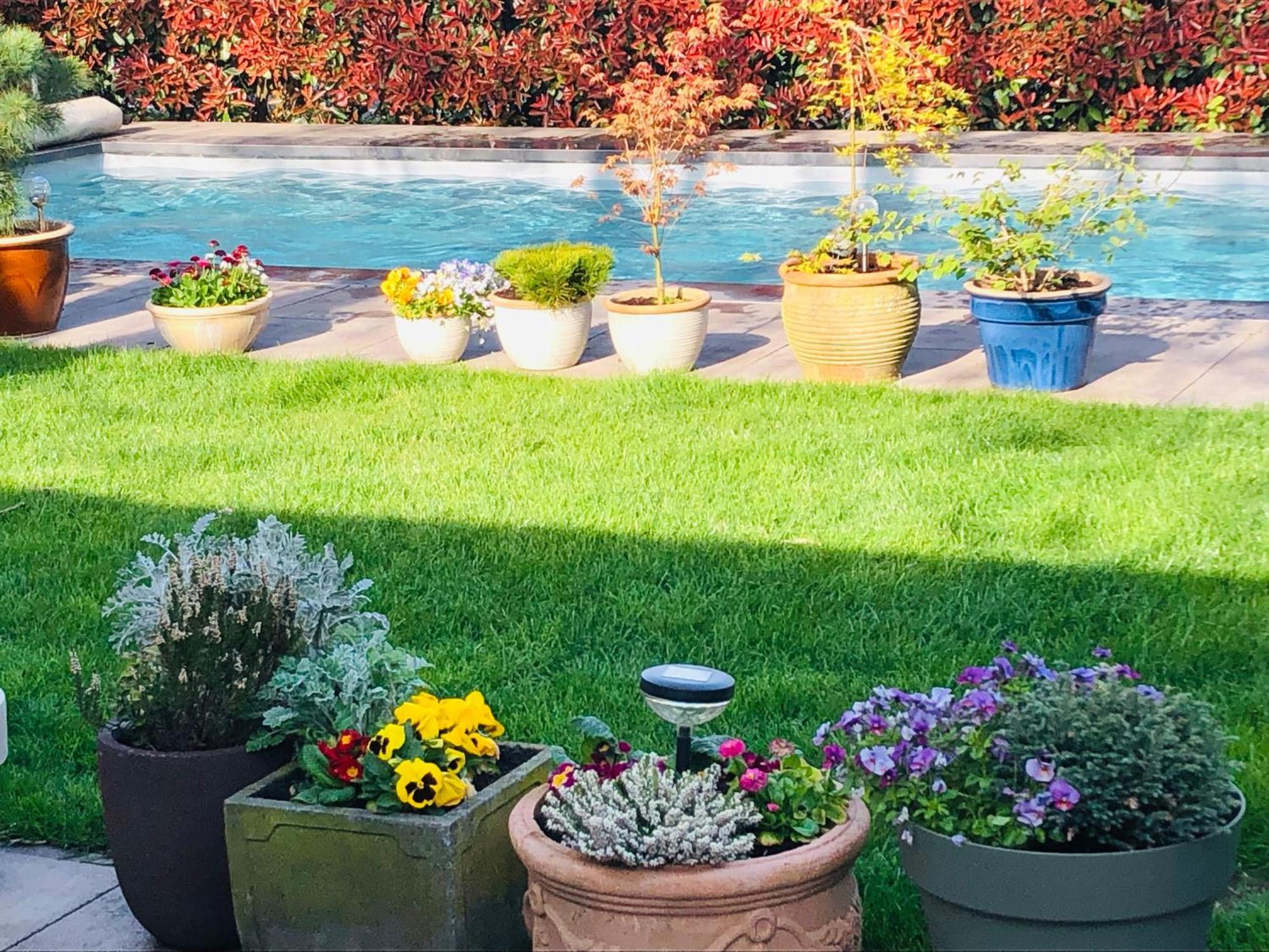 לינה וארוחת בוקר B &B Yuupke Maasbree Noord-Limburg Venlo Roermond מראה חיצוני תמונה